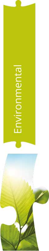 environment-large-piece environmental policy