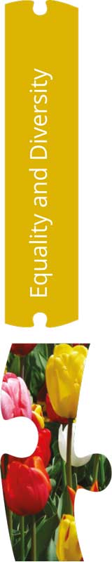 equality-large-piece equality policy