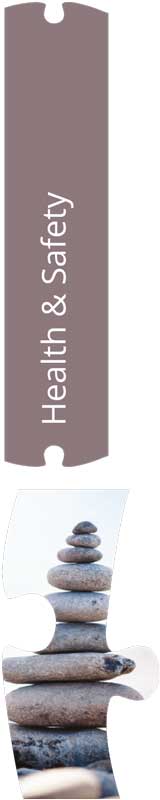 health-large-piece health and safety policy